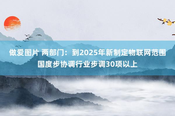 做爱图片 两部门：到2025年新制定物联网范围国度步协调行业步调30项以上