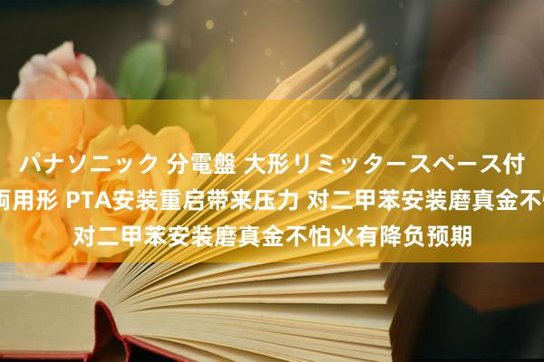パナソニック 分電盤 大形リミッタースペース付 露出・半埋込両用形 PTA安装重启带来压力 对二甲苯安装磨真金不怕火有降负预期