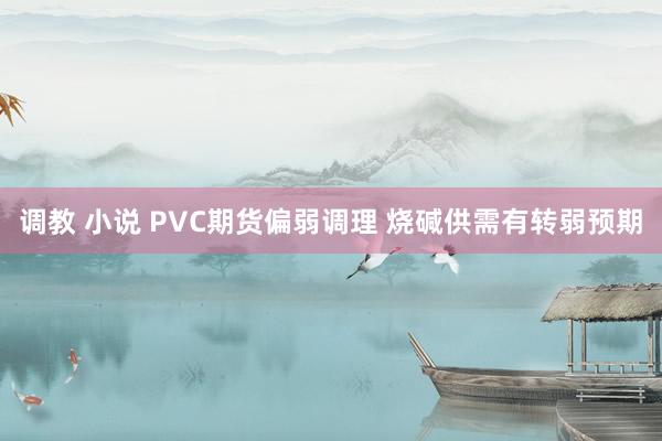 调教 小说 PVC期货偏弱调理 烧碱供需有转弱预期