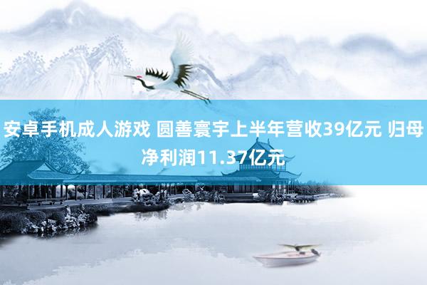 安卓手机成人游戏 圆善寰宇上半年营收39亿元 归母净利润11.37亿元