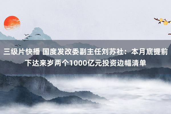 三级片快播 国度发改委副主任刘苏社：本月底提前下达来岁两个1000亿元投资边幅清单