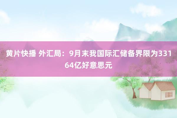 黄片快播 外汇局：9月末我国际汇储备界限为33164亿好意思元