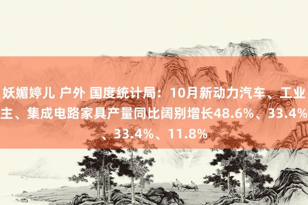 妖媚婷儿 户外 国度统计局：10月新动力汽车、工业机器东谈主、集成电路家具产量同比阔别增长48.6%、33.4%、11.8%