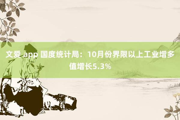 文爱 app 国度统计局：10月份界限以上工业增多值增长5.3%