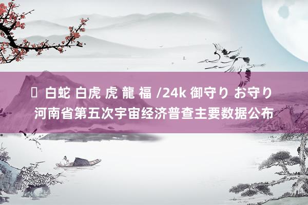 ✨白蛇 白虎 虎 龍 福 /24k 御守り お守り 河南省第五次宇宙经济普查主要数据公布