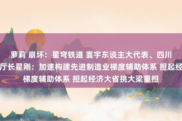 萝莉 崩坏：星穹铁道 寰宇东谈主大代表、四川省经济和信息化厅厅长翟刚：加速构建先进制造业梯度辅助体系 担起经济大省挑大梁重担